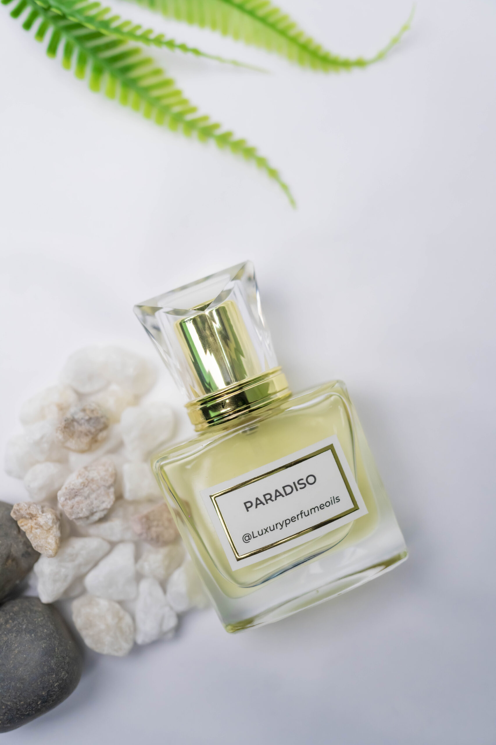 PARADISO 20ML